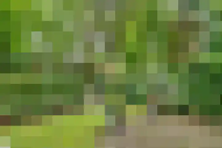 Park Rodichem 101 Huis ter Heide thumbnail 15