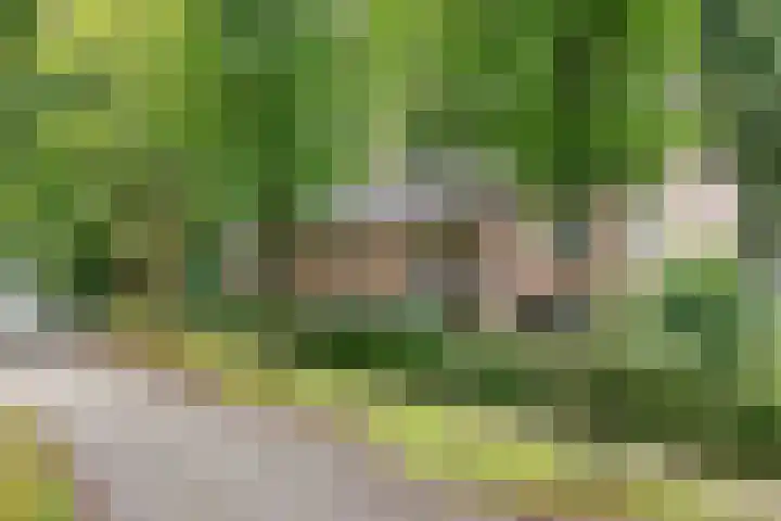 Park Rodichem 101 Huis ter Heide thumbnail 17