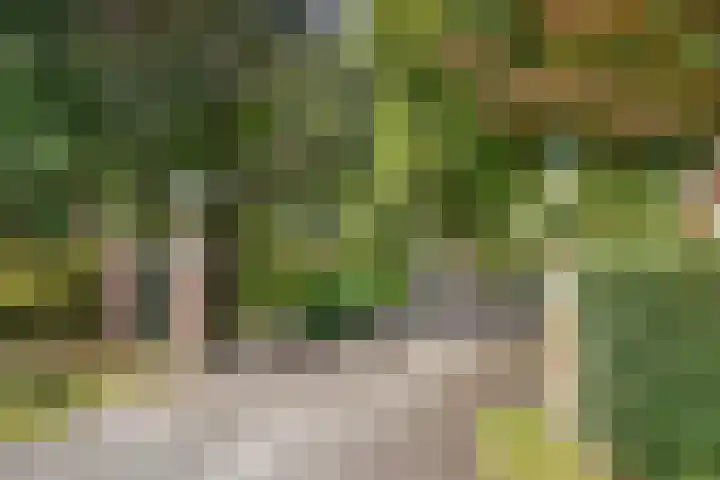 Park Rodichem 101 Huis ter Heide thumbnail 19
