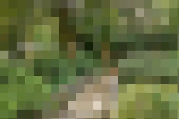 Park Rodichem 101 Huis ter Heide thumbnail 20