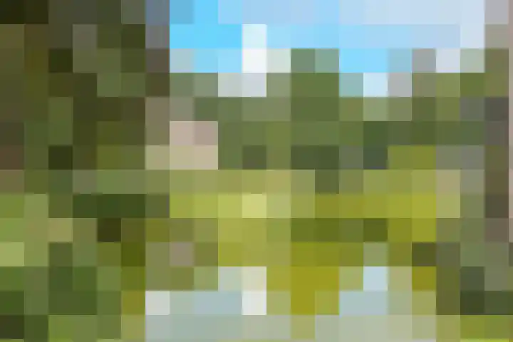 Park Rodichem 101 Huis ter Heide thumbnail 21