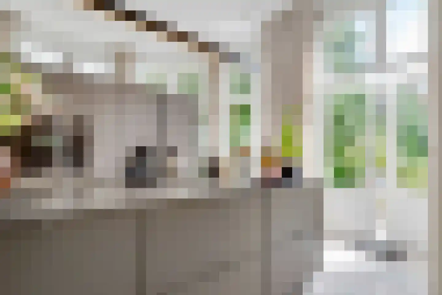 Park Rodichem 110 Huis ter Heide thumbnail 17