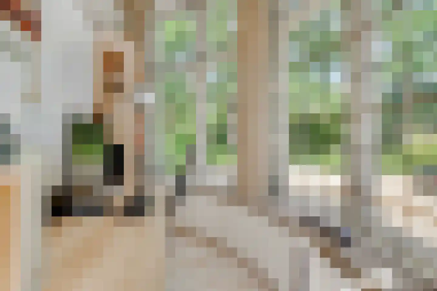 Park Rodichem 110 Huis ter Heide thumbnail 21