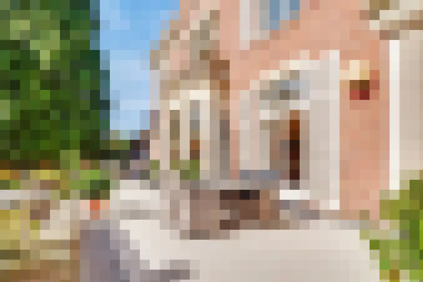 Park Rodichem 110 Huis ter Heide thumbnail 42