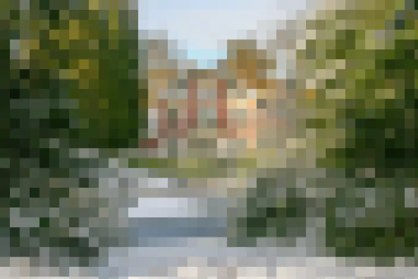 Park Rodichem 110 Huis ter Heide thumbnail 50
