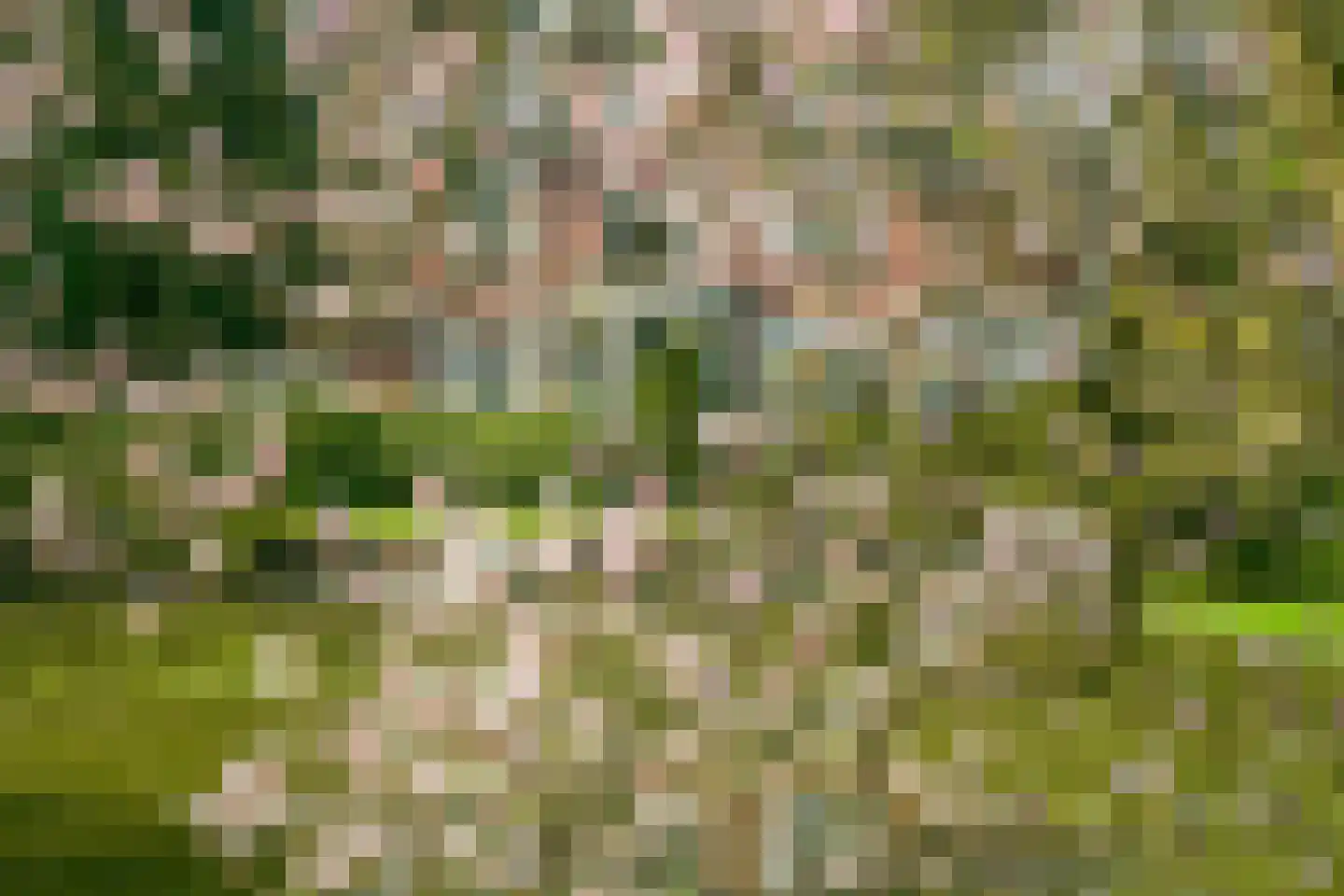 Park Rodichem 110 Huis ter Heide thumbnail 51