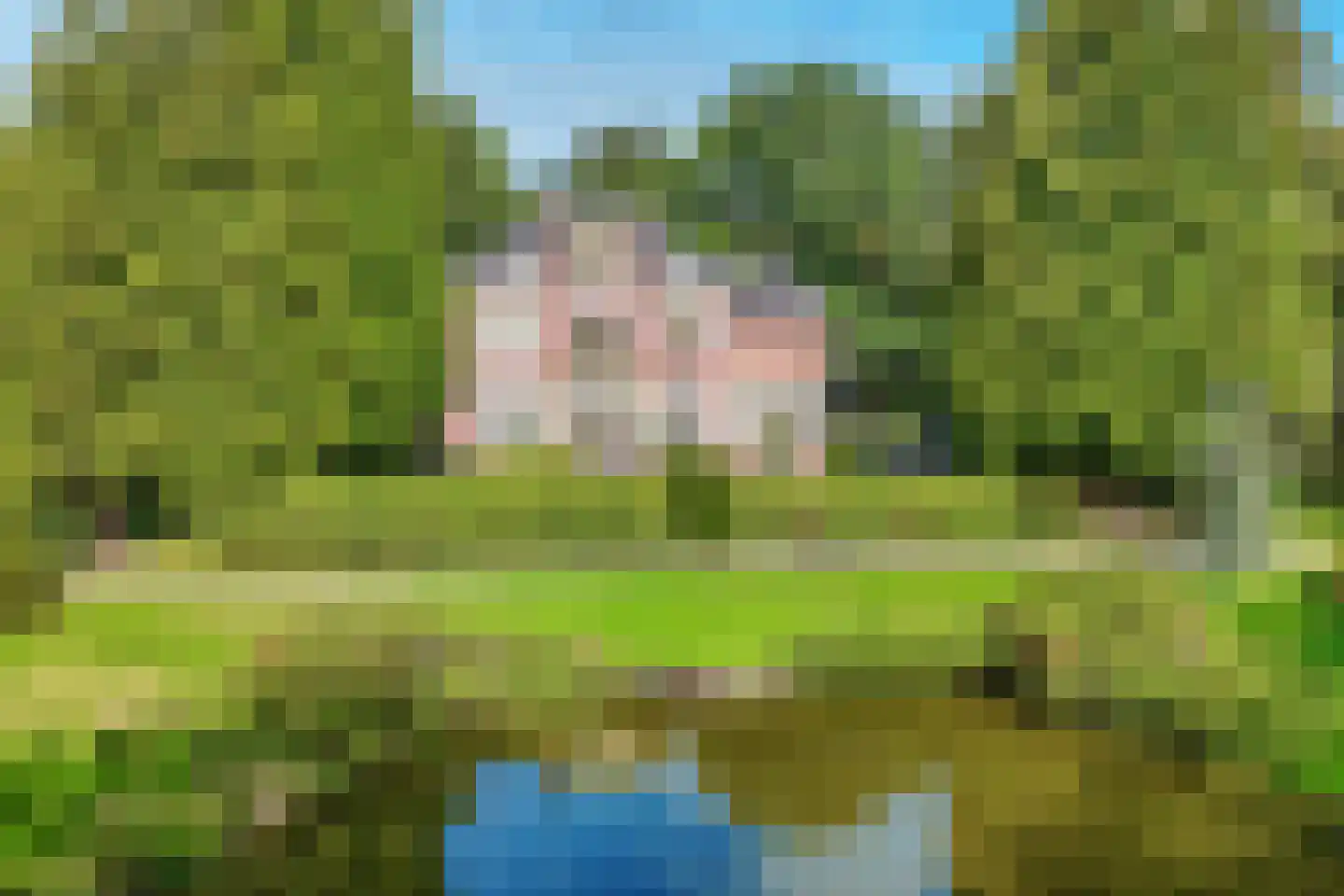 Park Rodichem 110 Huis ter Heide thumbnail 53