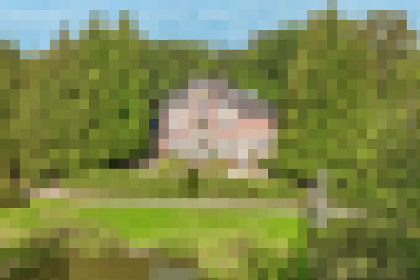 Park Rodichem 110 Huis ter Heide thumbnail 54