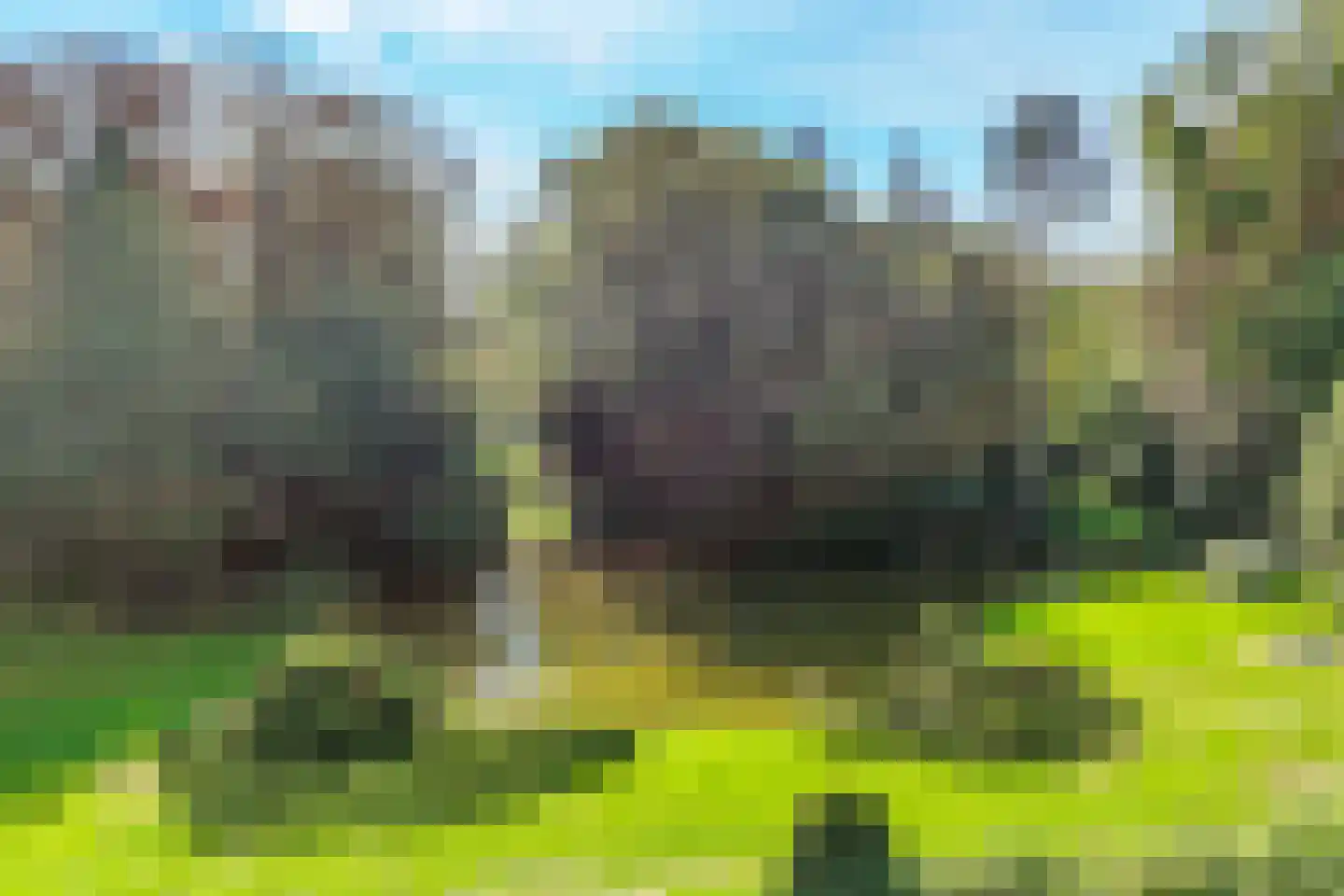 Park Rodichem 110 Huis ter Heide thumbnail 8