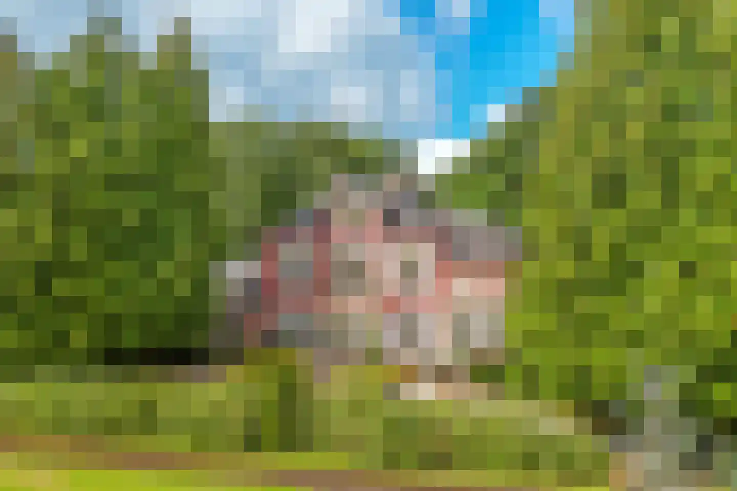 Park Rodichem 113 in Huis ter Heide
