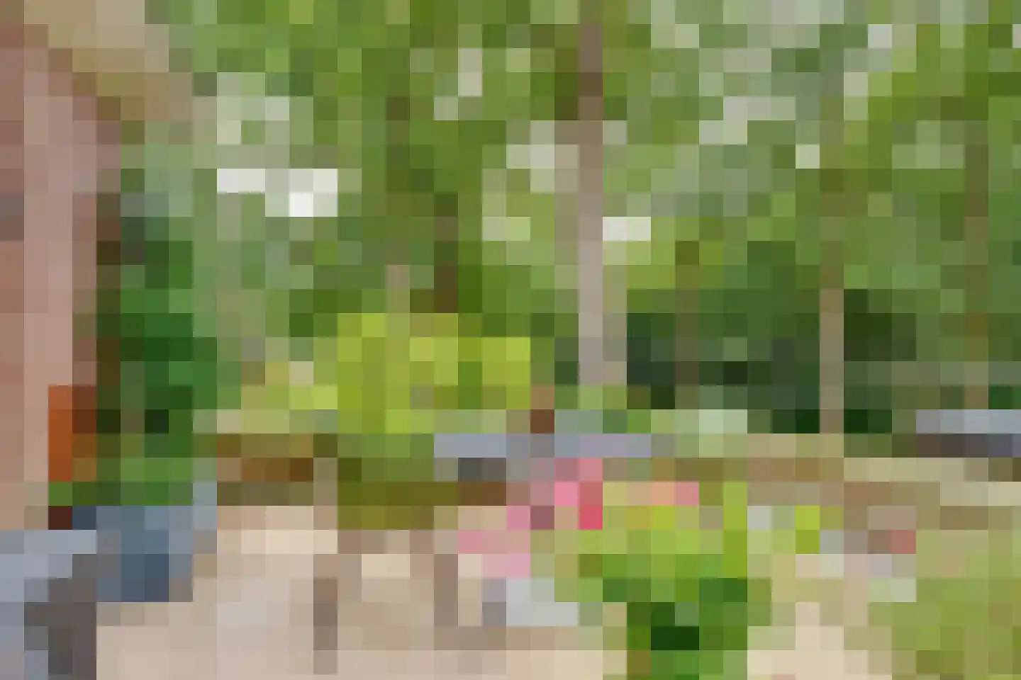 Park Rodichem 113 Huis ter Heide thumbnail 34