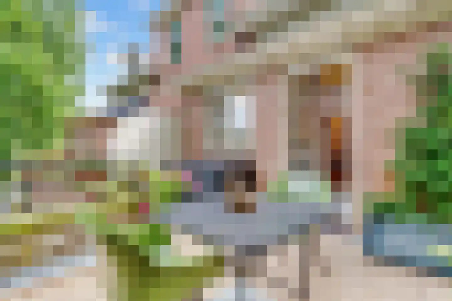 Park Rodichem 113 Huis ter Heide thumbnail 35