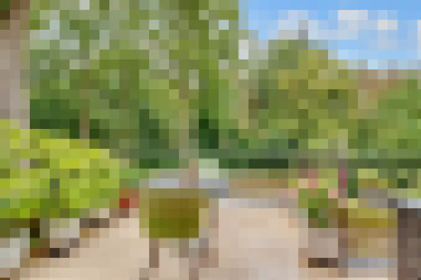Park Rodichem 113 Huis ter Heide thumbnail 36