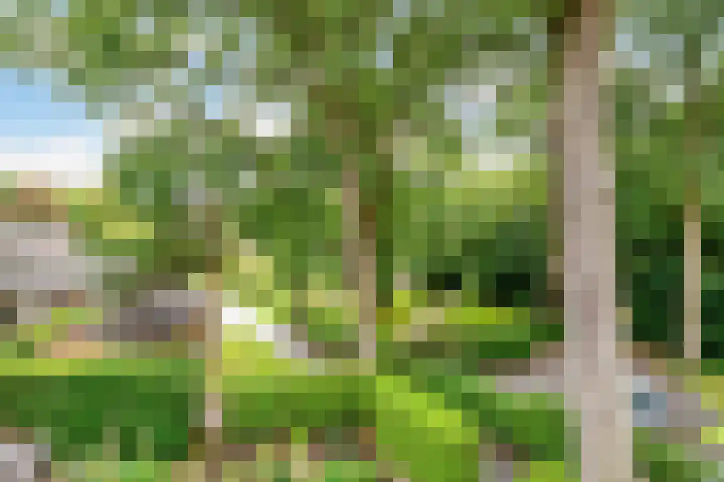 Park Rodichem 113 Huis ter Heide thumbnail 37