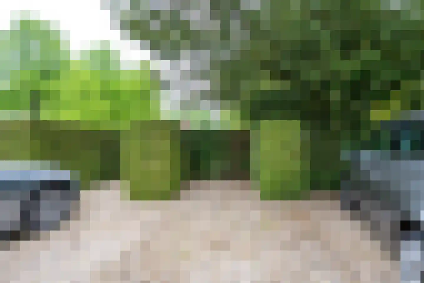 Park Rodichem 115 Huis ter Heide thumbnail 35