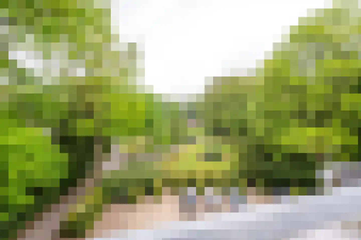 Park Rodichem 115 Huis ter Heide thumbnail 36