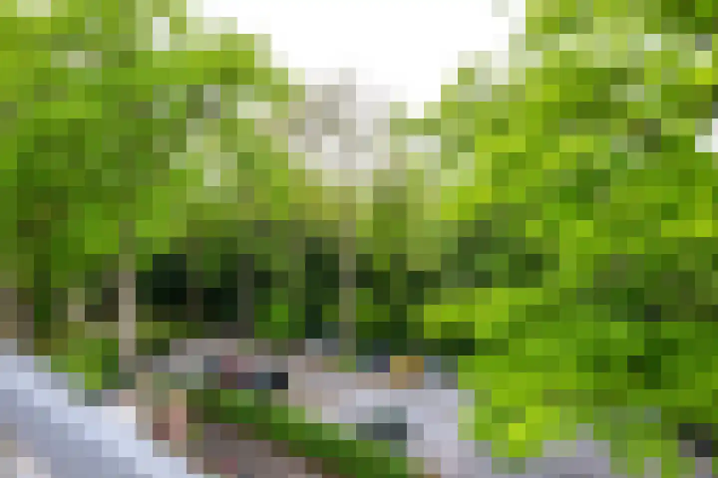 Park Rodichem 115 Huis ter Heide thumbnail 37