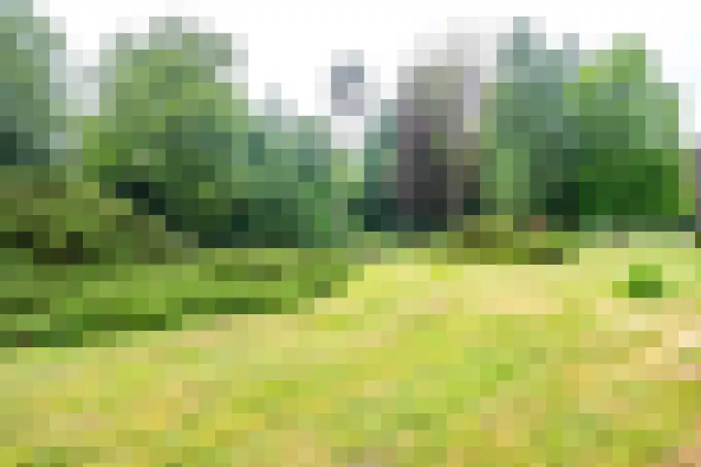 Park Rodichem 115 Huis ter Heide thumbnail 38