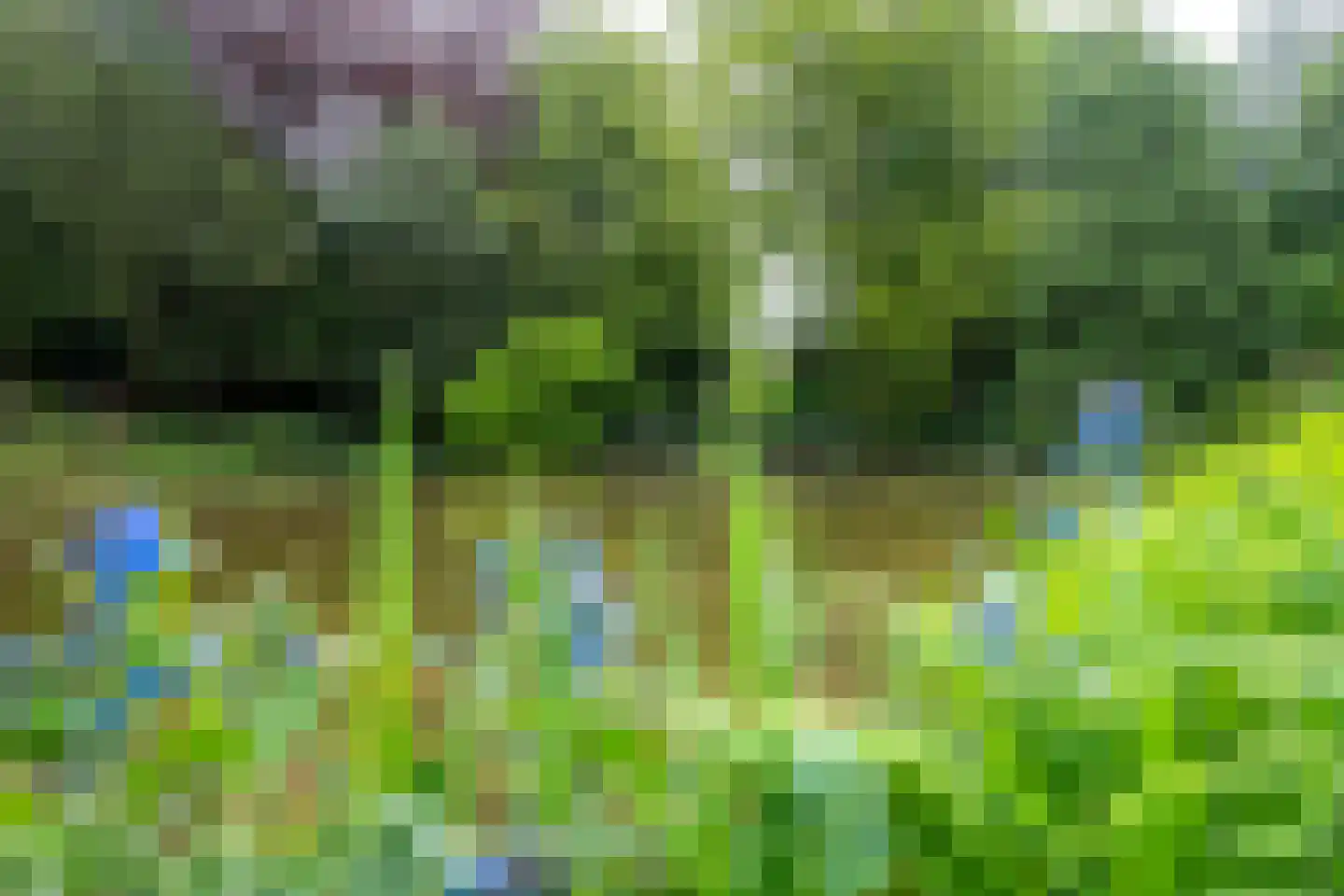 Park Rodichem 115 Huis ter Heide thumbnail 39