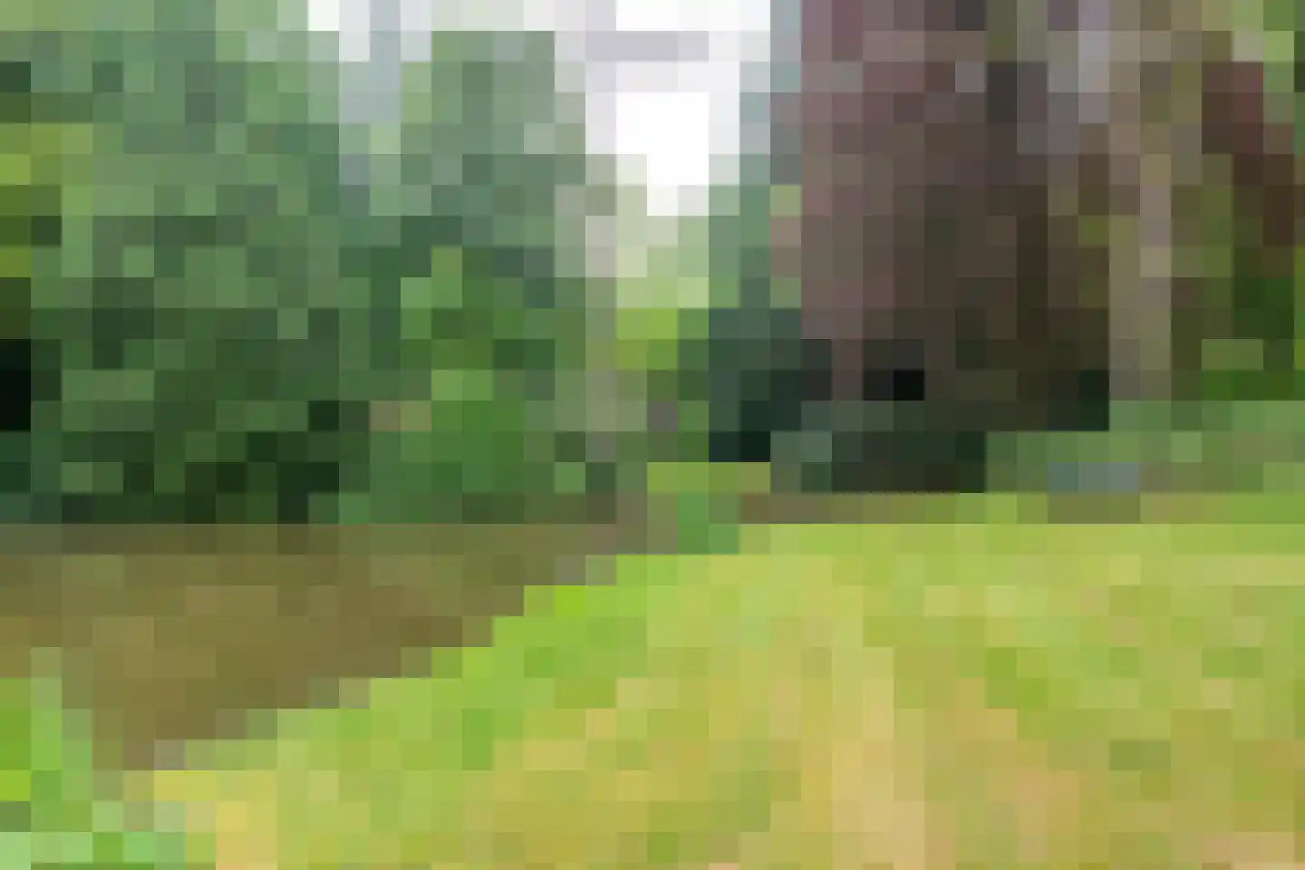 Park Rodichem 115 Huis ter Heide thumbnail 40