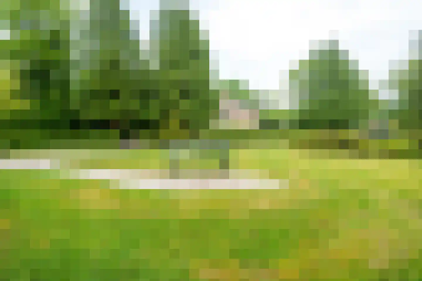 Park Rodichem 115 Huis ter Heide thumbnail 41