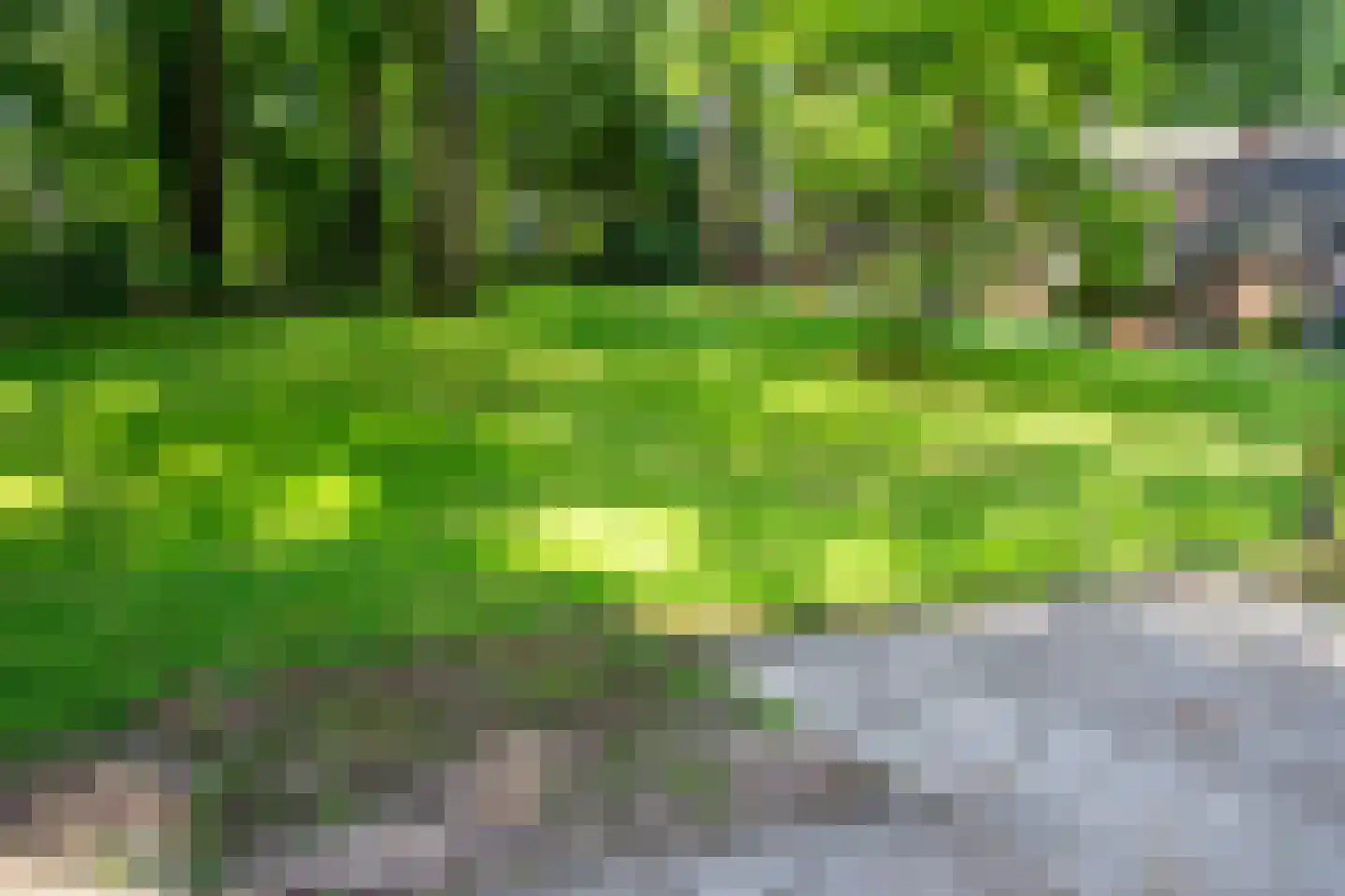 Park Rodichem 15 Huis ter Heide thumbnail 17