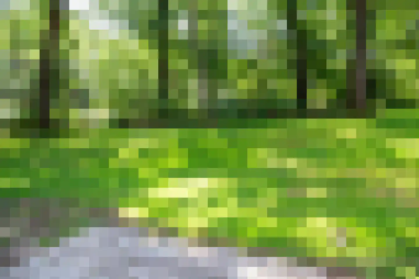 Park Rodichem 15 Huis ter Heide thumbnail 18