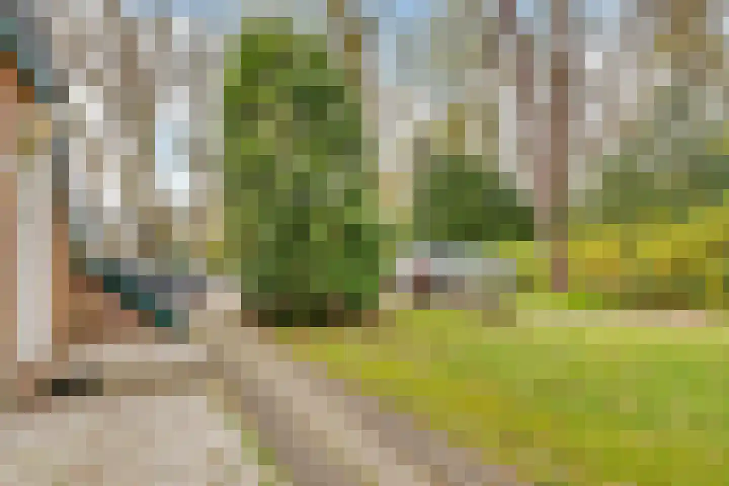 Park Rodichem 17 Huis ter Heide thumbnail 14