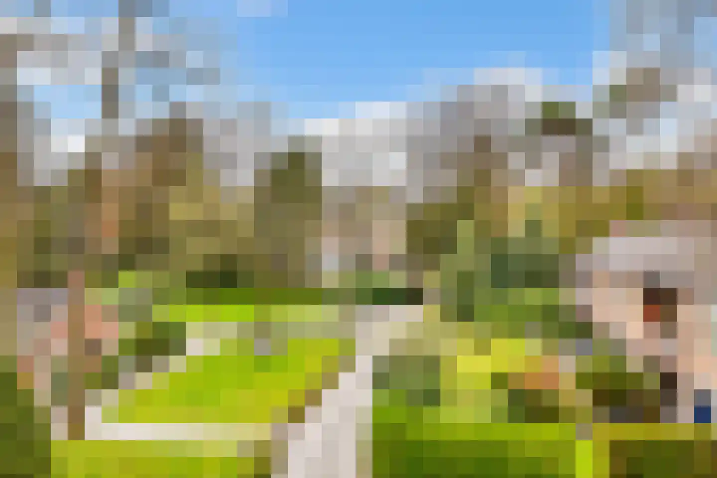 Park Rodichem 17 Huis ter Heide thumbnail 16