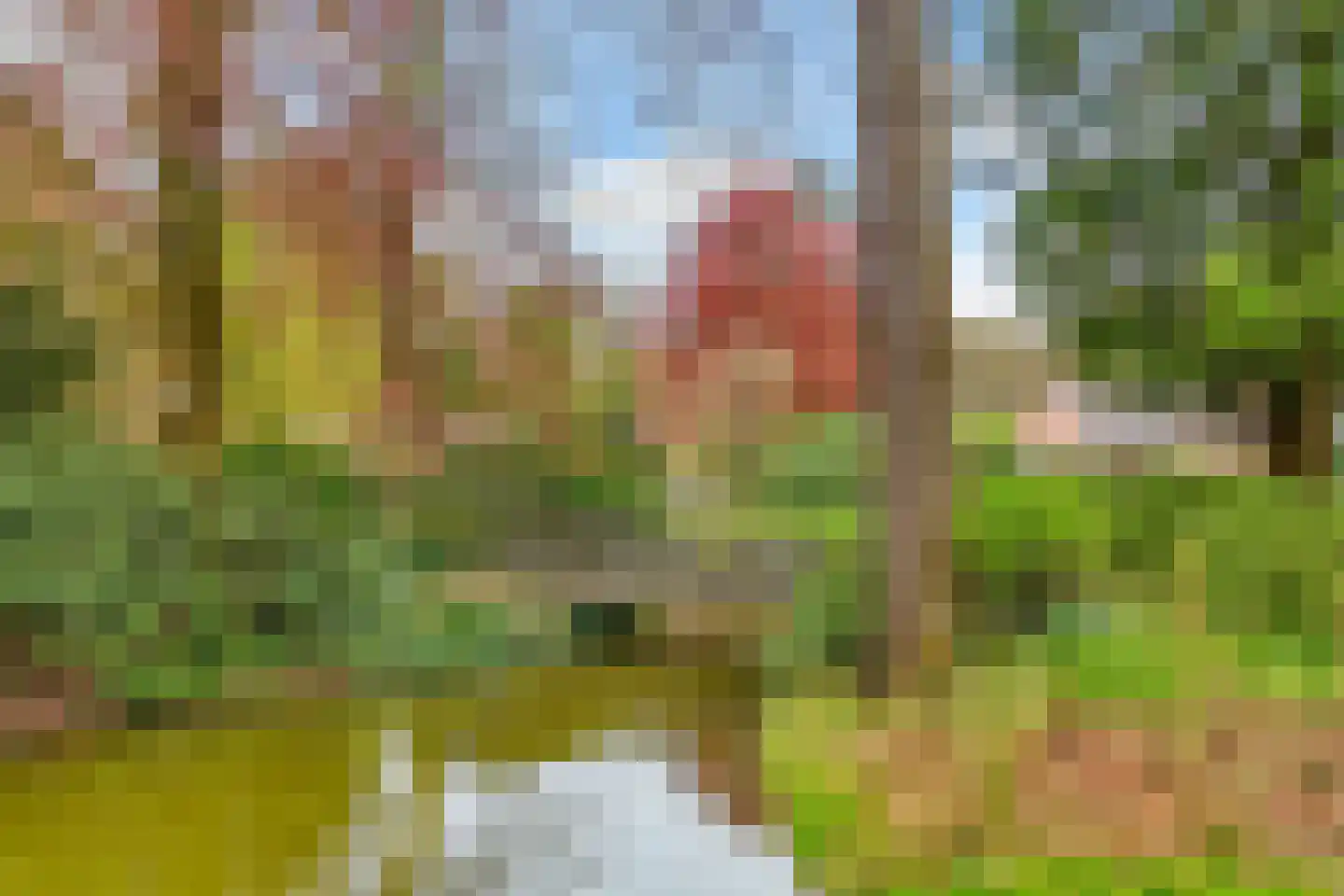 Park Rodichem 17 Huis ter Heide thumbnail 17