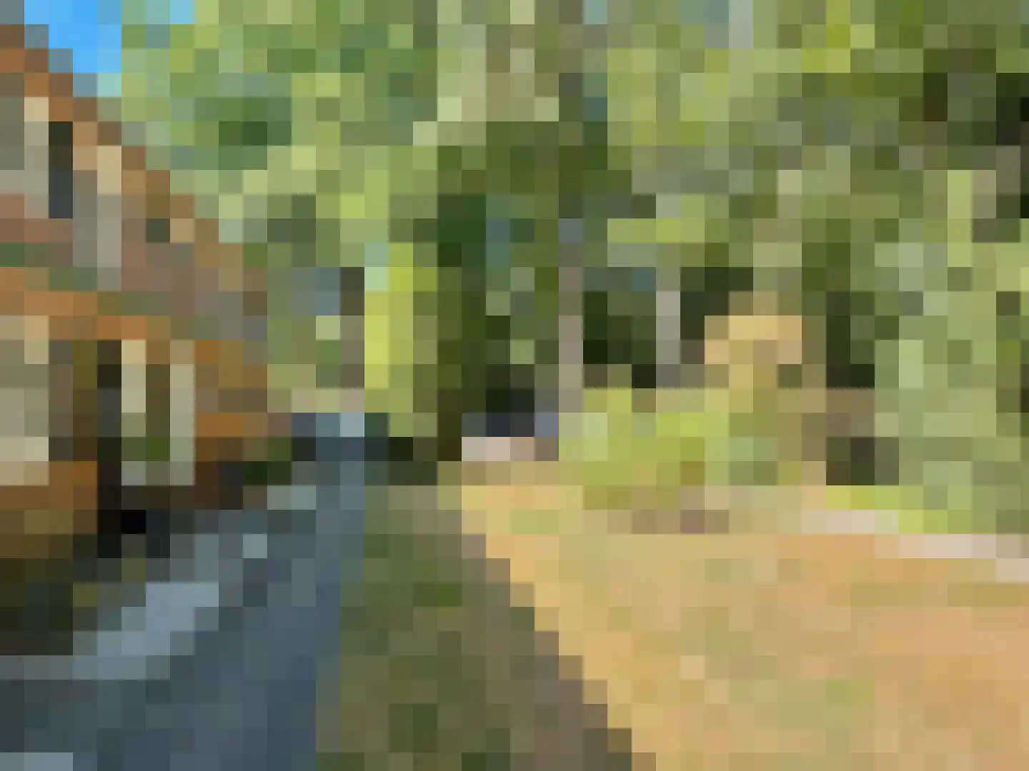 Park Rodichem 17 Huis ter Heide thumbnail 17