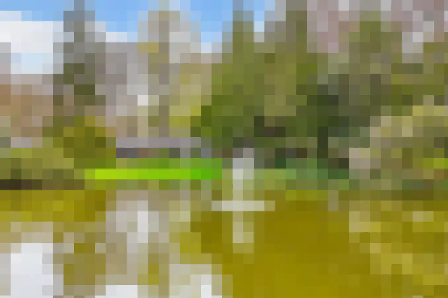 Park Rodichem 17 Huis ter Heide thumbnail 18