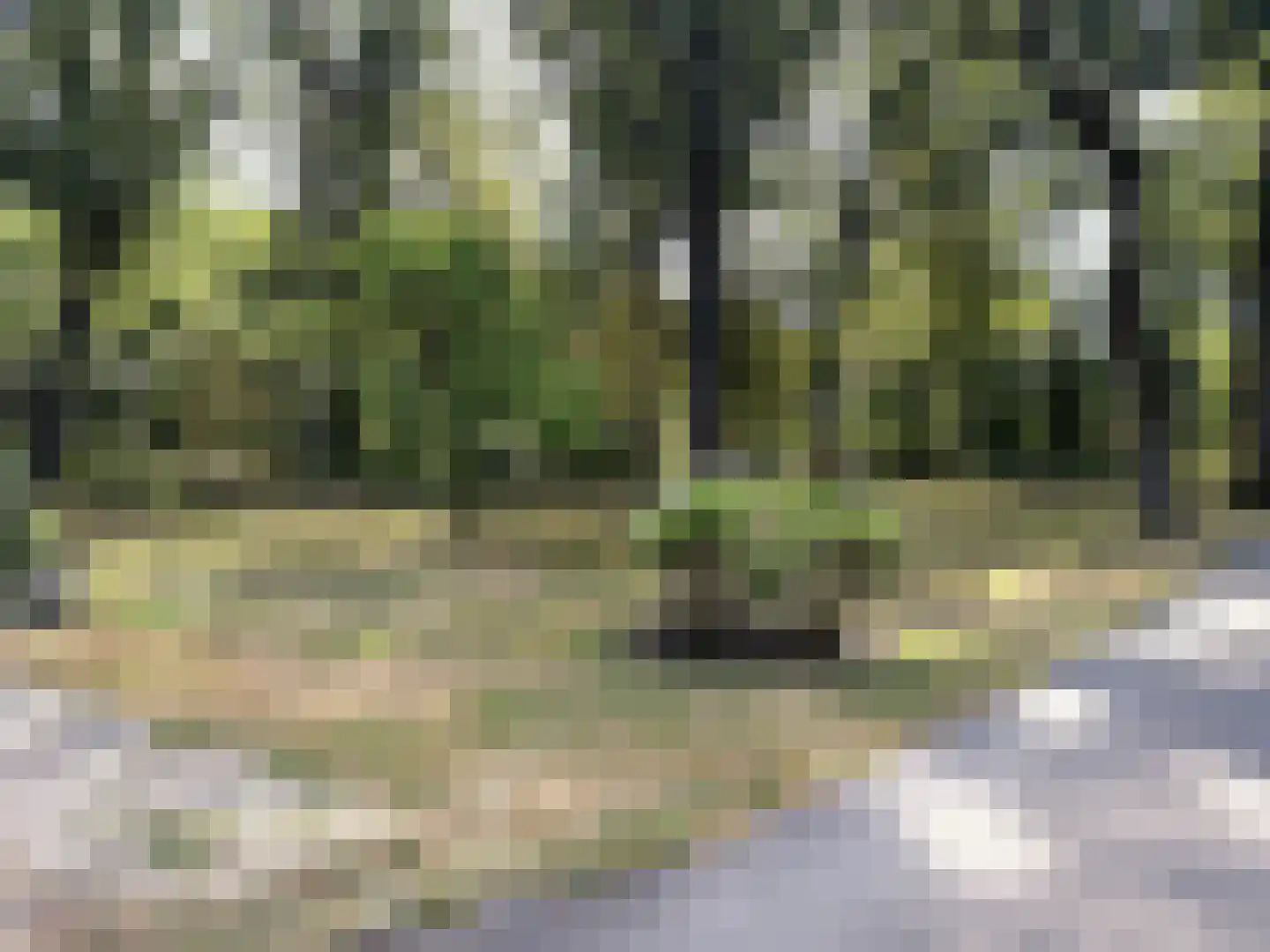 Park Rodichem 17 Huis ter Heide thumbnail 18