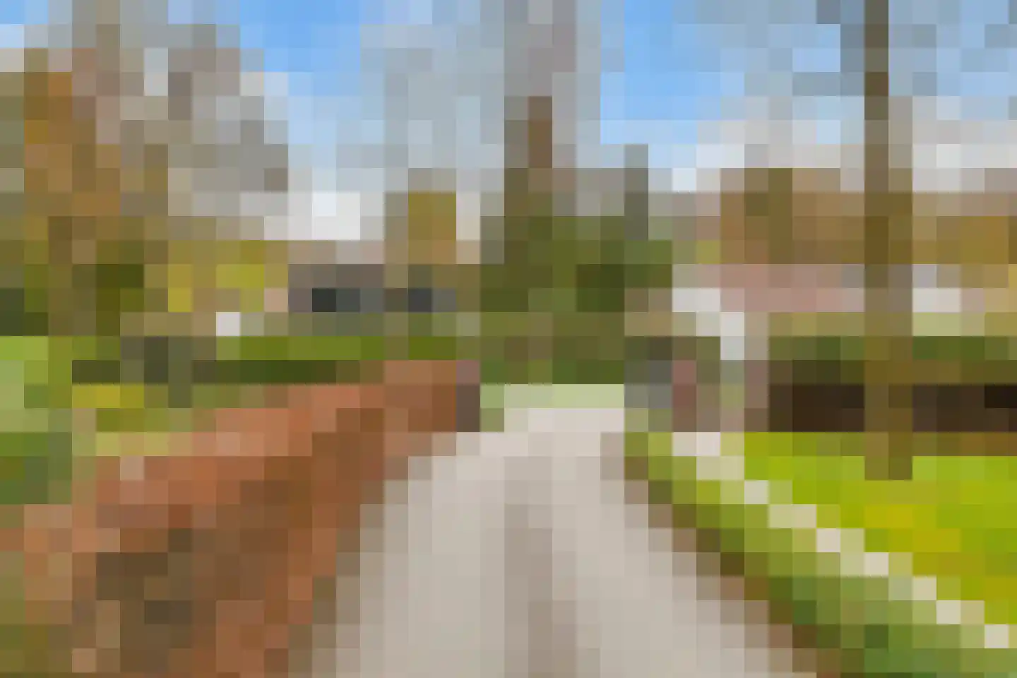 Park Rodichem 17 Huis ter Heide thumbnail 19