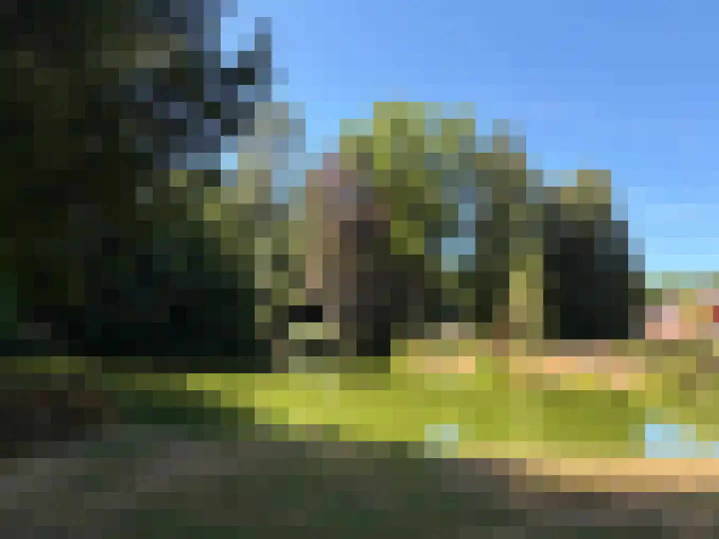 Park Rodichem 17 Huis ter Heide thumbnail 22