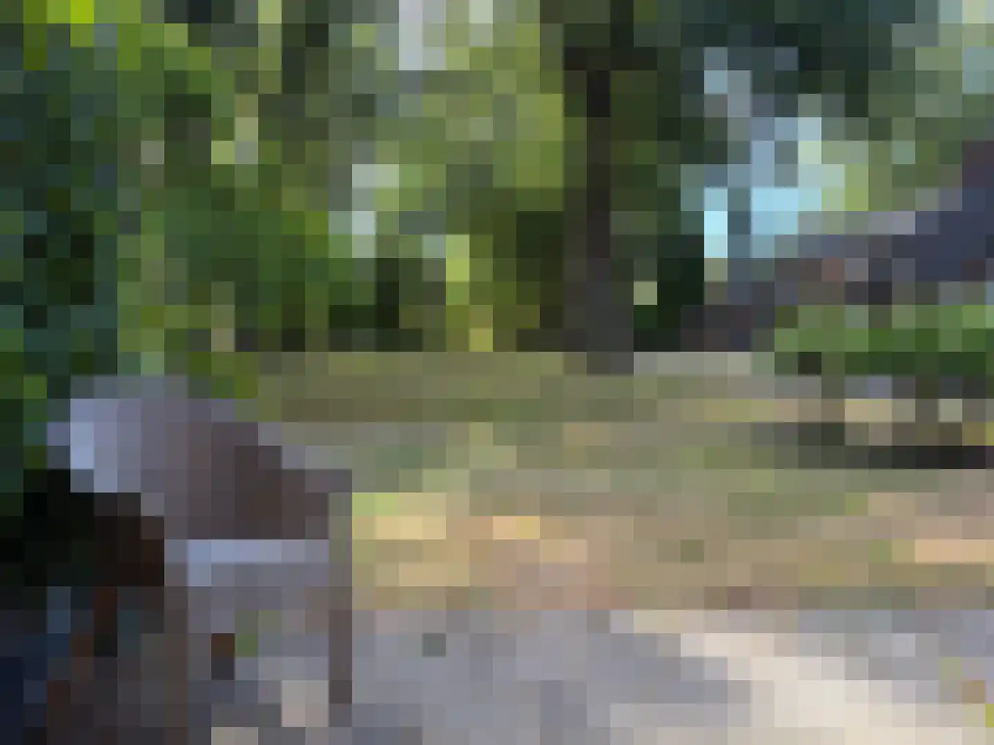 Park Rodichem 17 Huis ter Heide thumbnail 4
