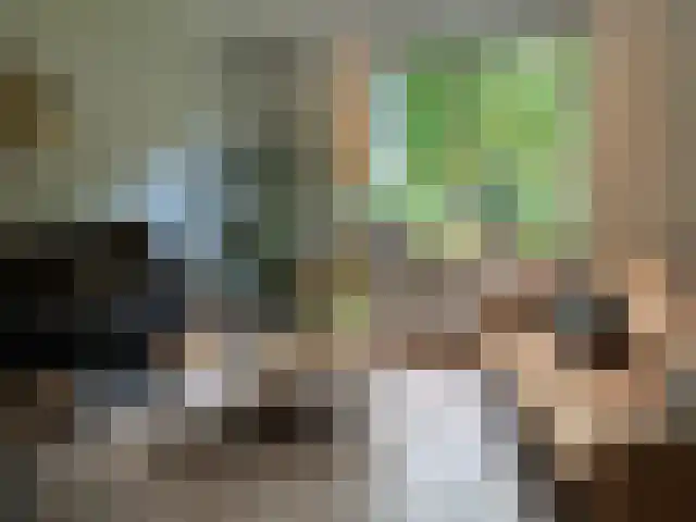 Park Rodichem 20 Huis ter Heide thumbnail 8