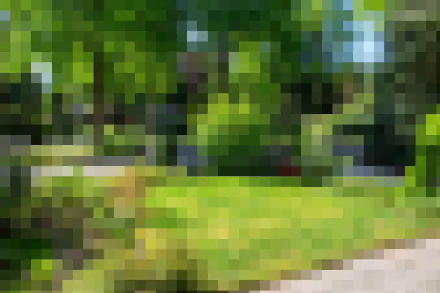 Park Rodichem 36 Huis ter Heide thumbnail 4