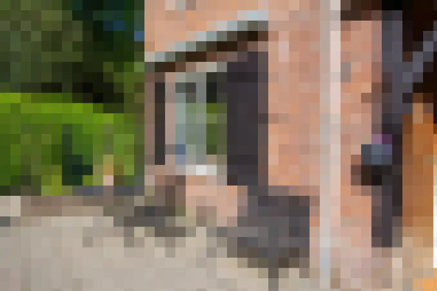 Park Rodichem 36 Huis ter Heide thumbnail 5