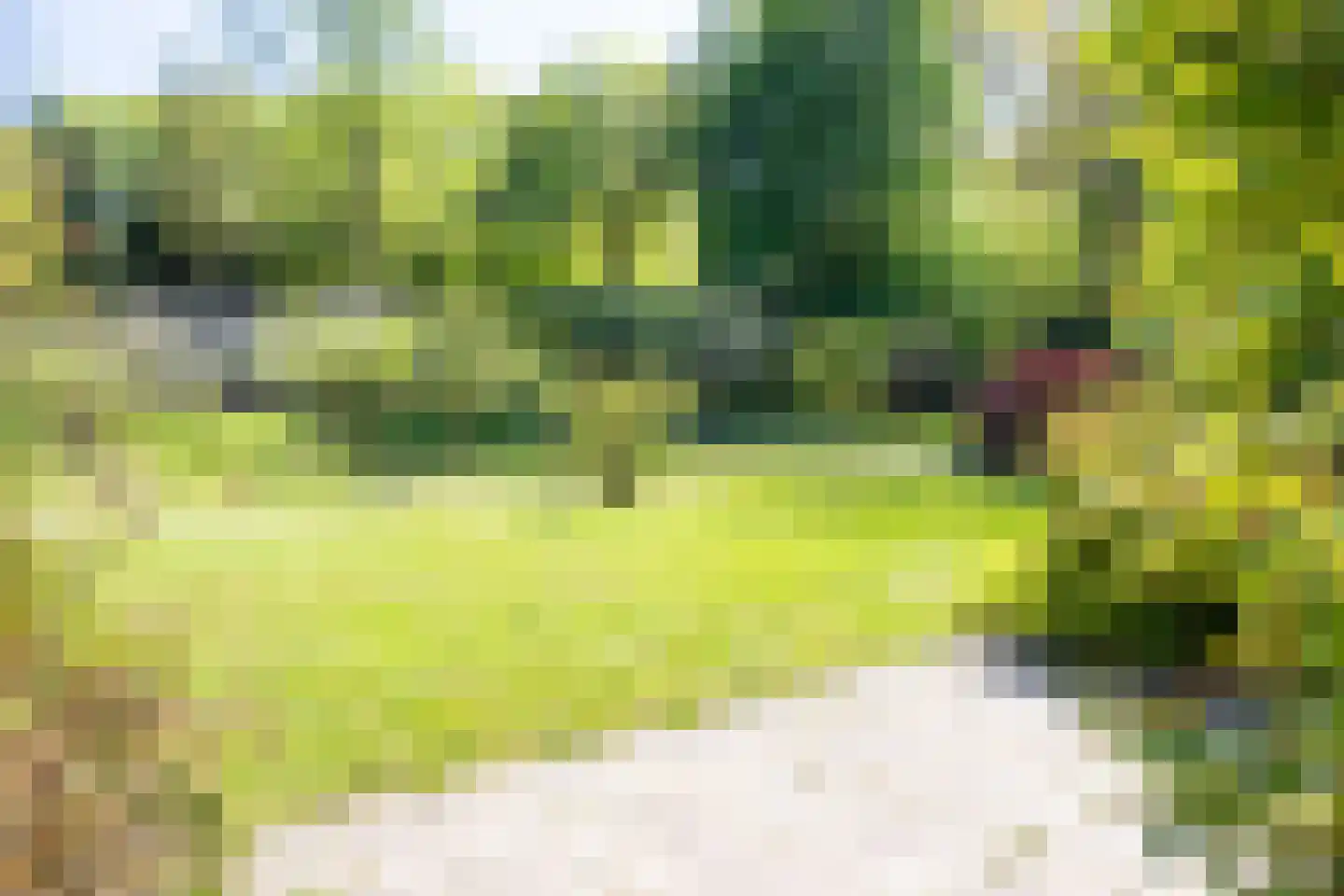 Park Rodichem 65 Huis ter Heide thumbnail 24