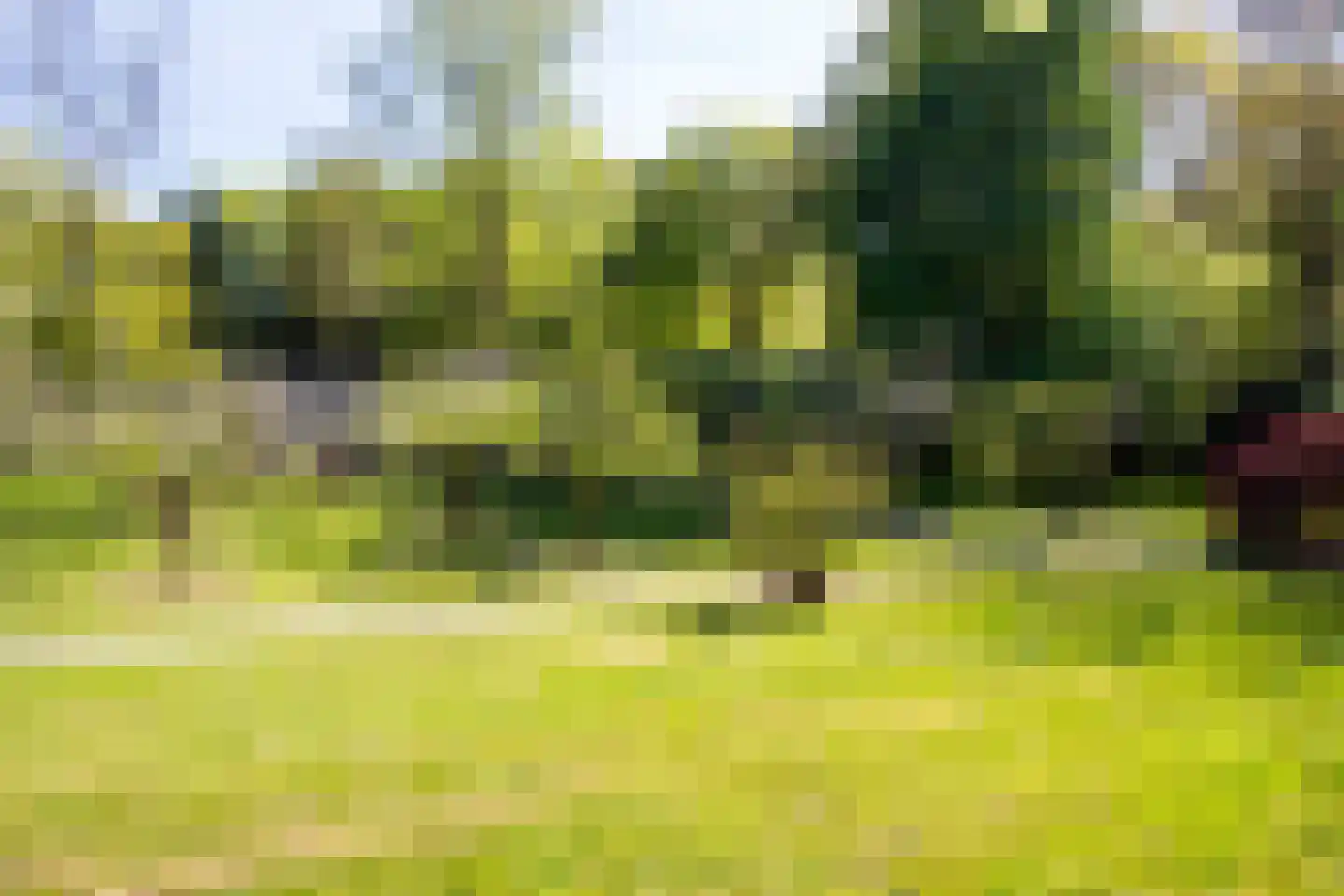 Park Rodichem 65 Huis ter Heide thumbnail 28