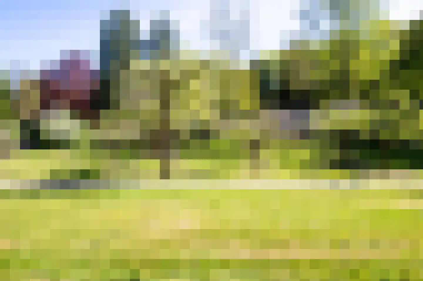Park Rodichem 65 Huis ter Heide thumbnail 29
