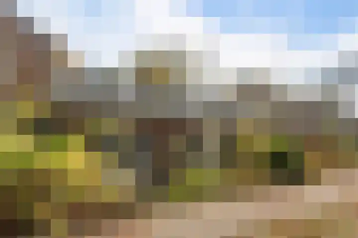 Park Rodichem 84 Huis ter Heide thumbnail 37