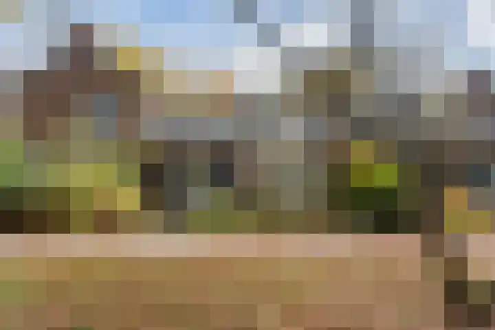 Park Rodichem 84 Huis ter Heide thumbnail 38