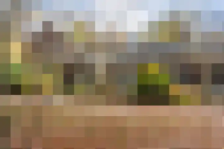Park Rodichem 84 Huis ter Heide thumbnail 39