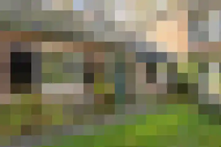 Park Rodichem 84 Huis ter Heide thumbnail 4