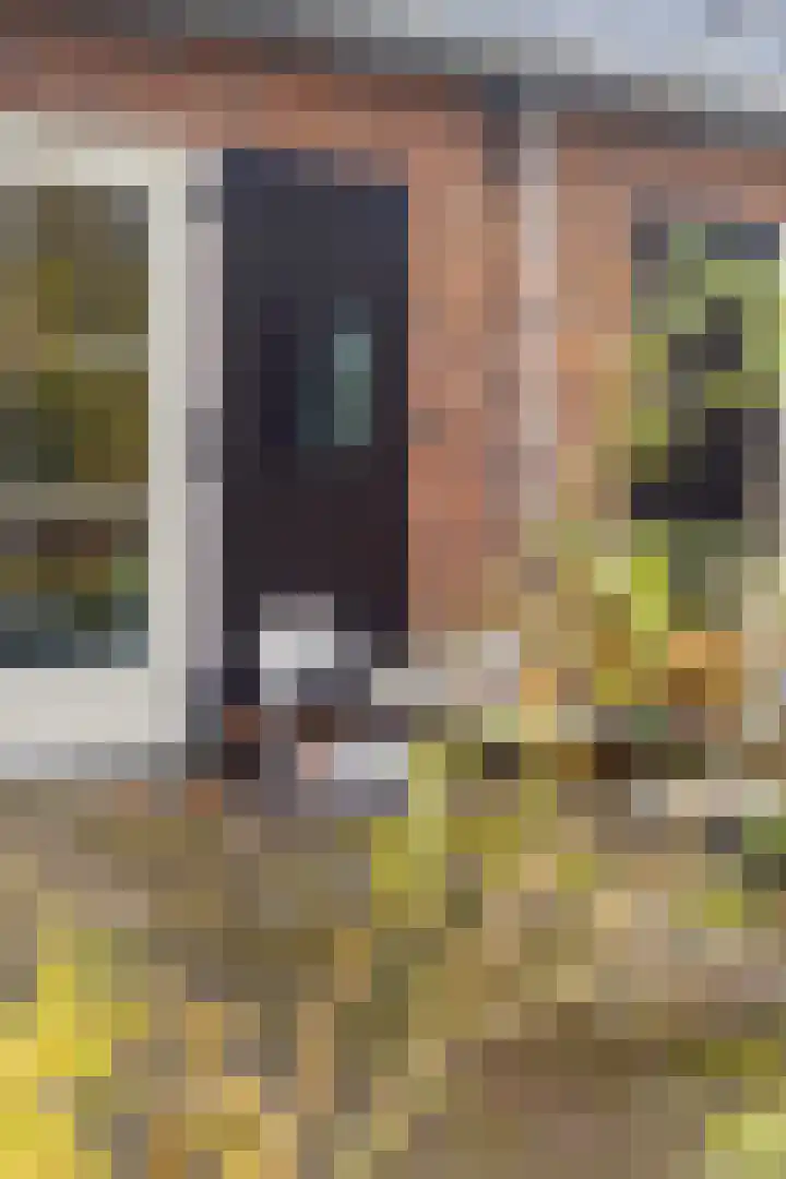 Park Rodichem 84 Huis ter Heide thumbnail 42
