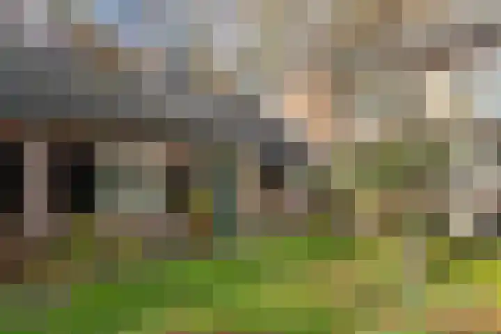 Park Rodichem 84 Huis ter Heide thumbnail 44