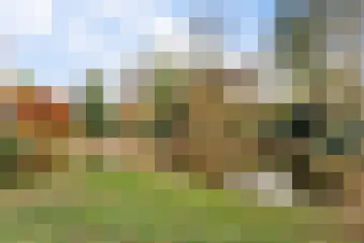 Park Rodichem 84 Huis ter Heide thumbnail 50