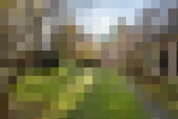 Park Rodichem 84 Huis ter Heide thumbnail 51